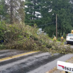 Tree down on Franklin Pike