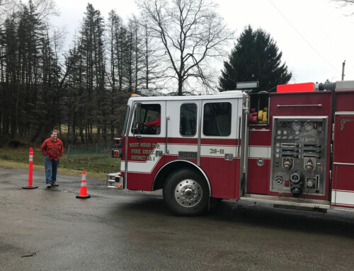 Driver Training
