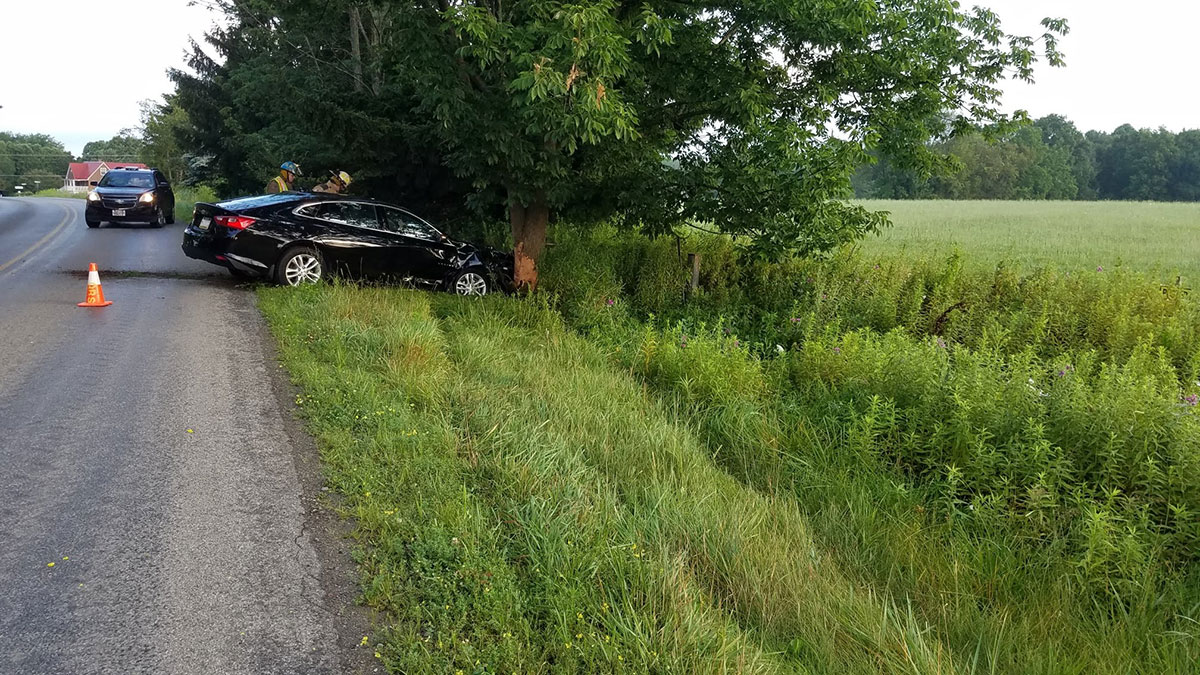 West Mead 1 firefighters investigate a vehicle accident along Pettis Road