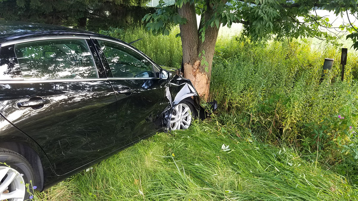 tree impact MVA - Pettis Road Motor Vehicle Accident