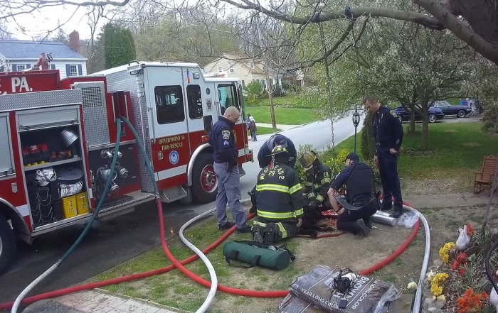 Firefighters provide oxygen to a dog rescued from the second floor