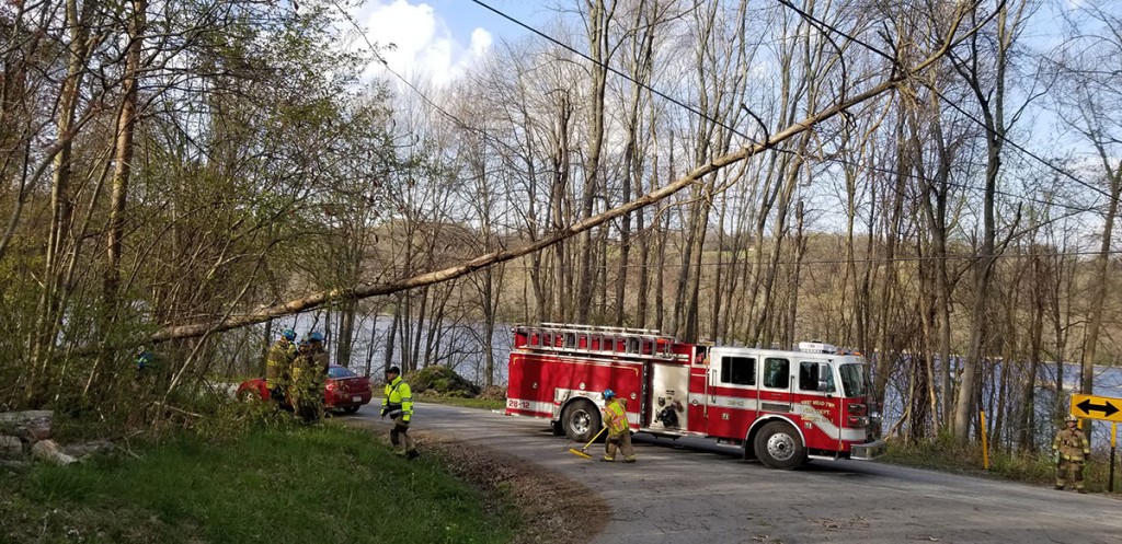 Engine 28-12's crew removes a tree on wires on Phelps Road near Tamarack Drive
