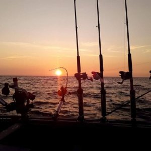 Reel Hawg Fishing Charters