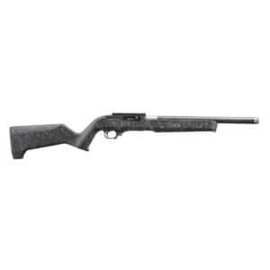 Ruger 10/22
