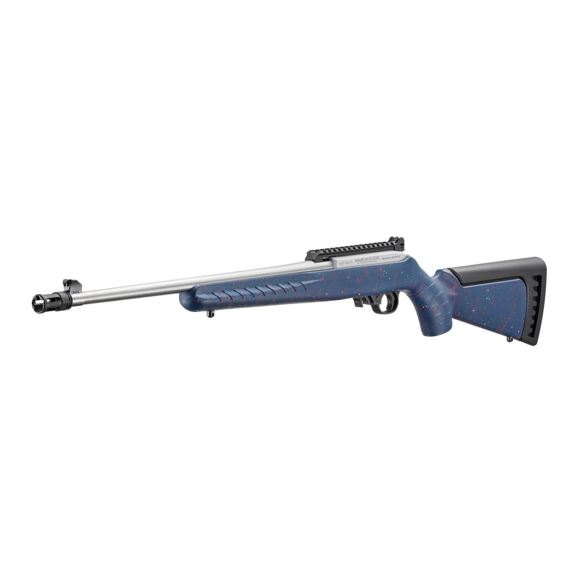 Ruger 10/22 left angle